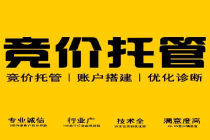 案例解析：SEM代运营服务公司助力企业增长